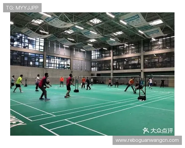 开云体育国际站：专业体育数据分析与赛事预测工具全面解析