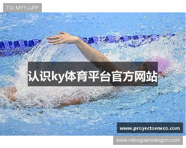 开云体育登入助力体育迷实现便捷登录，开启专属个性化体育娱乐新时代